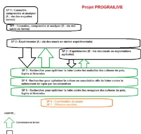 Figure 16 : Schéma général des étapes du projet PROGRAILIVE de SP1 à SP7  (D’après [b] Pôle Agronomique Ouest, s