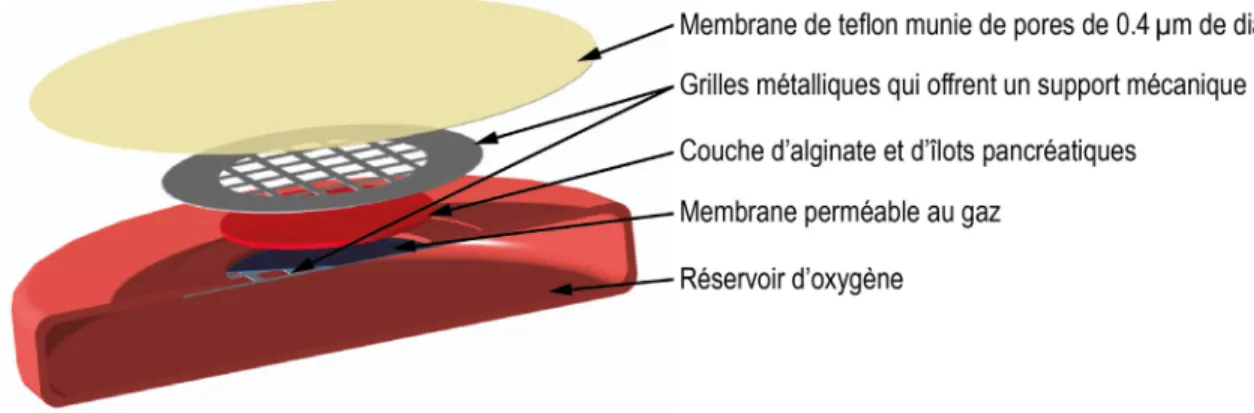 Figure 2.11 : Modélisation montrant les composants principaux du dispositif de macro encapsulation βair, adapté  de [45]