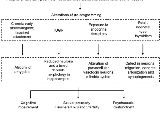 Figure 4- Alterations in different programming factors (communication, nutrition, sex steroids, and thyroid  hormones) during prenatal or early postnatal life, when the brain still shows important development and  plasticity could result in common impairme