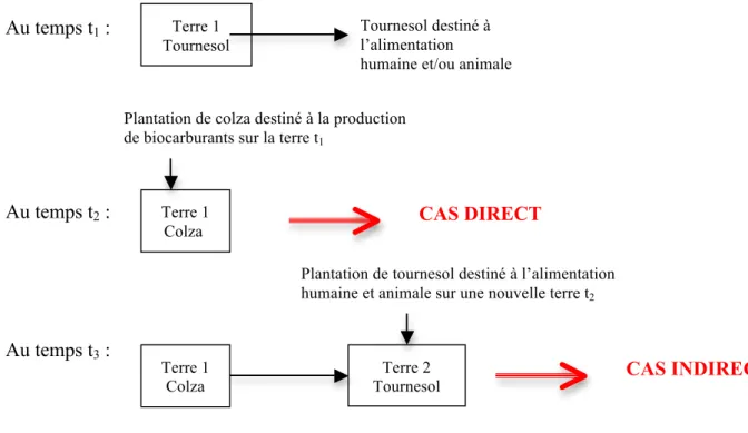 Figure 2. Schématisation simplifiée du phénomène des CAS : un exemple de distinction CAS direct et indirect  