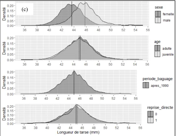 Figure 1 : Distribution de la masse (a), de la longueur d’aile (b) et de la longueur de tarse (c) selon le sexe, l’âge, la période  de baguage et le reprise ou non d’un individu