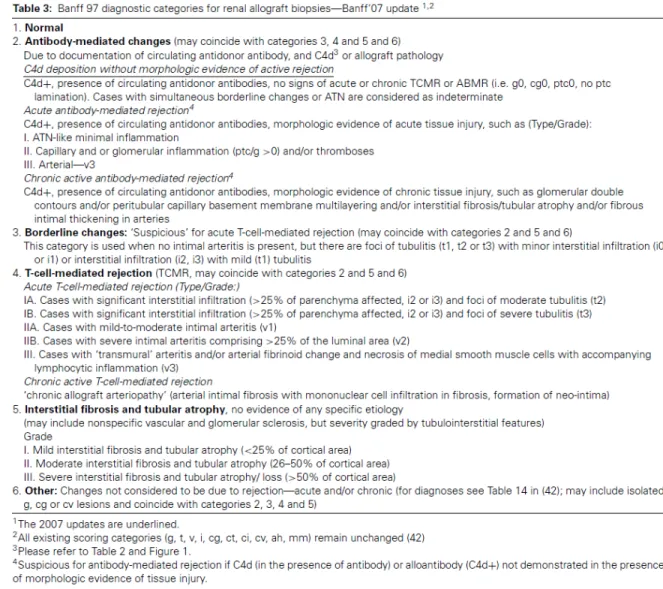 Table 1 : Critères de rejet, Banff 97 avec les mises à jour de 2007. Tiré avec permission d’Am  J Transplant (2008), Solez et al