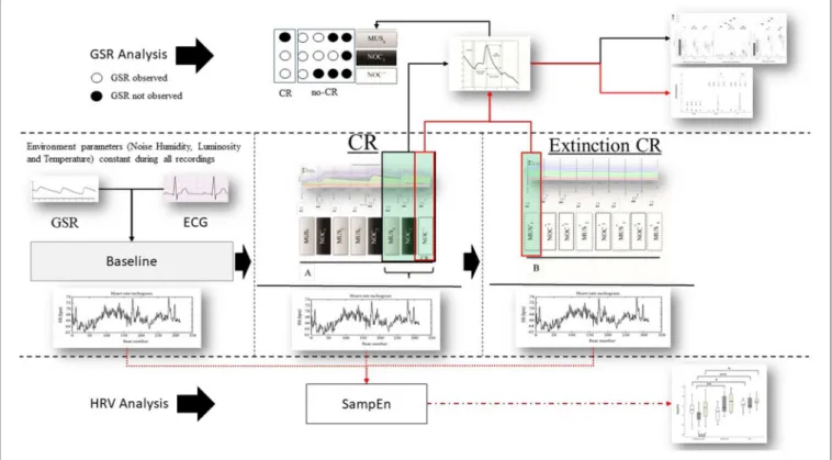 FIGURE 2 | Protocol and data analysis: in the central line of the figure (between dashed lines) the entire sequence of the protocol (baseline, sequence A to test the conditional response (CR), and sequence B to test the extinction of the CR)