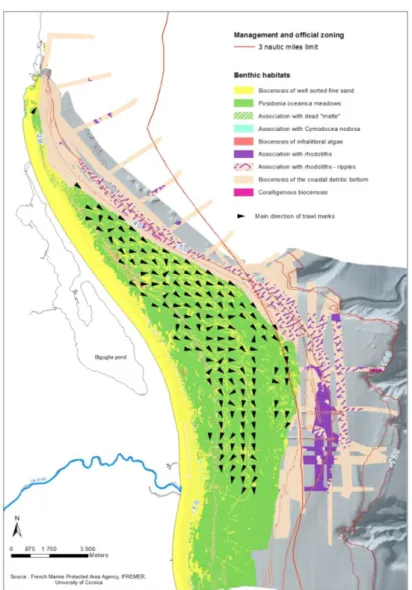 Fig. 1: Benthic habitats map and orientation of main trawling scars  