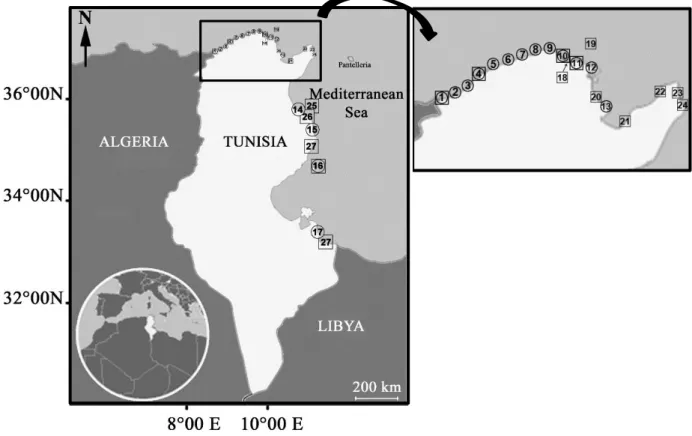 Fig. 1 : Distribution des localités prospectées : Côtes Nord et Péninsule du Cap Bon (1