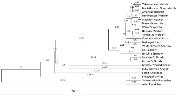 Figure 3. A phylogenetic tree of the species in the study. Generated and downloaded from  the website "birdtree.org" (Jetz et al