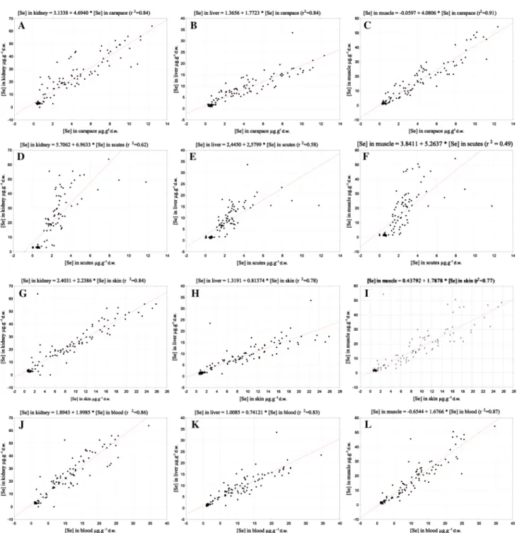 Fig. 4 Pattern of the selenium concentration (lg g -1 of Se d.w.) over the course of the feeding trial in the non-destructive tissues collected from the SeMet 1 and SeMet 2 turtle group