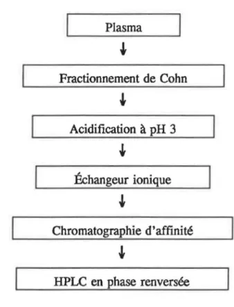 Figure  2.1:  Étapes de la purification de l'IGFBP-3. 