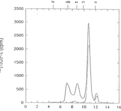 Figure  3.1:  Courbes  de  fùtration  sur  gel  pour  un  échantillon de plasma suite à  une incubation avec de  1' 125  1-IGF-1  (-)