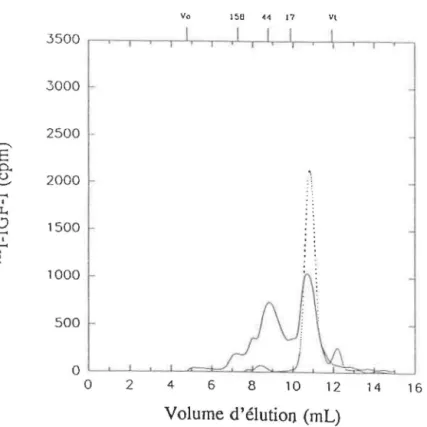 Figure  3.3:  Courbe  de  filtration  sur  gel  pour  un  échantillon  de  plasma  acidifié  et  reneutralisé  suite  à  l'incubation  avec  1' 125 1-IGF-I  (-)