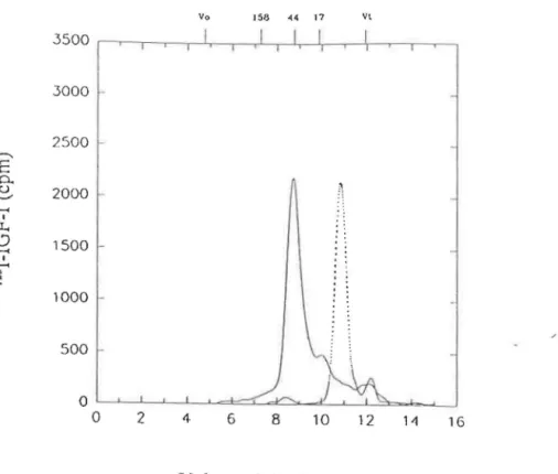Figure 3.7:  Courbe de filtration sur gel d'un échantillon  de liquide amniotique suite à une incubation avec de 1' 125  1-IGF-I ( - ) 