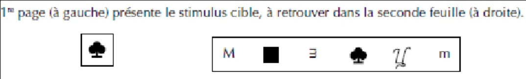 Figure 10 : Subtest forme de l’épreuve d’appariement de la batterie EVA (Vilayphonh M., Cavézian C