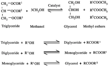 Figure 5 : Transestérification des triglycérides : ils sont transformés en esters méthyliques d’acides gras  pour les rendre volatils.