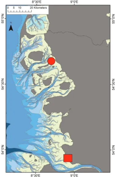 Fig. 1. German North Sea coast indicating sampling locations on the River Elbe (square) and Hallig Oland (circle).
