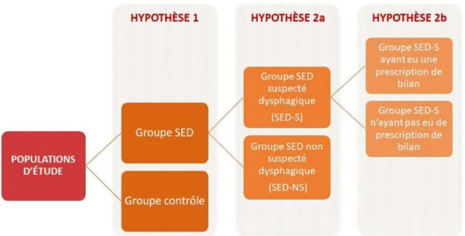 Figure 5 : Populations d’étude selon les hypothèses