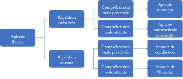 Figure 2 : Algorithme décisionnel des aphasies non fluentes selon V.Sabadell et al. 