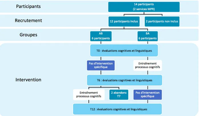 Figure 1 : Design expérimental 