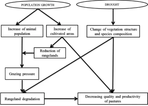 Figure  1.2 – Schematics of the general context of the natural resources use and  change in Senegalese rangelands 
