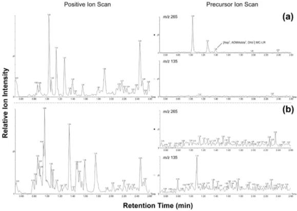 Figure 2. Base-peak chromatograms of positive ion scans (left; m/z 450-1150) and precursor ion scans (right; m/z 135 for Adda-containing compounds or m/z 265 for ADMAdda-containing compounds) for (a) SV-81 (Category 1) and (b) SV-02 (Category 3)