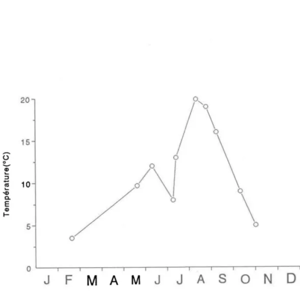 Figure 1.3: Température des sédiments au  site d'échantillonnage situé  à  -9 mètres  de profondeur du  lac St-Joseph de  février  à  novembre 1991