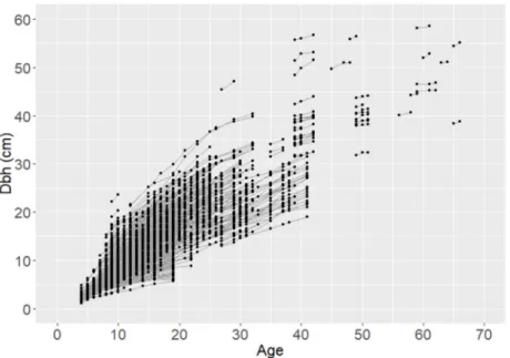 Figure 3. Temporal variation of target tree dbh (trees from the control plots not included)