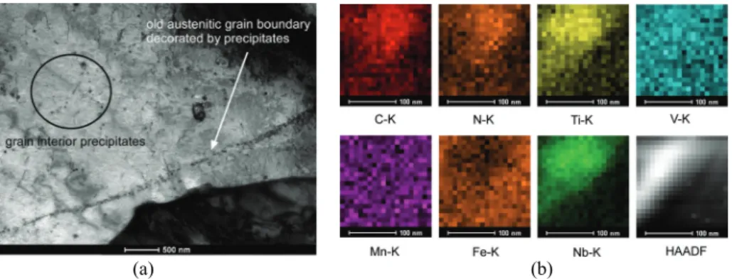 FIGURE 1: Grade C steel: (a) illustration of the localization of the precipitates and (b) STEM map of one inclusion (only the K-  ray of each element is illustrated) 