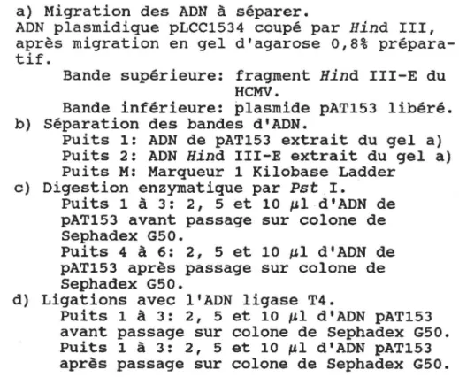 FIGURE  6:  Extraction  rapide  de  l'ADN  d'un  gel  d'agarose  par  la  technique  DCDC