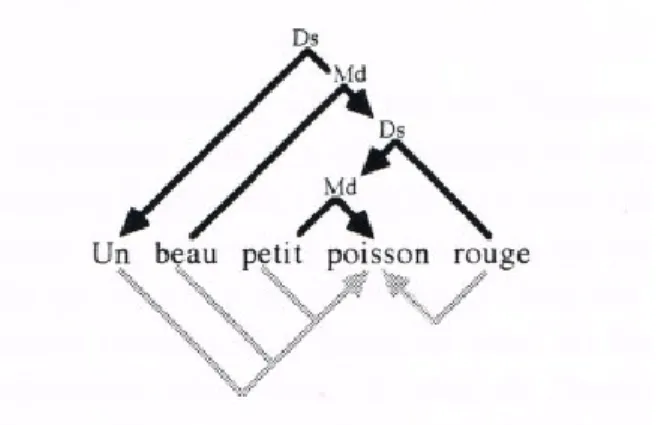Figure 6 : apport de prédication (Ibid. : 214) 