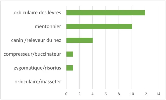 Figure 5 : Proportion des atteintes musculaires de la lèvre 