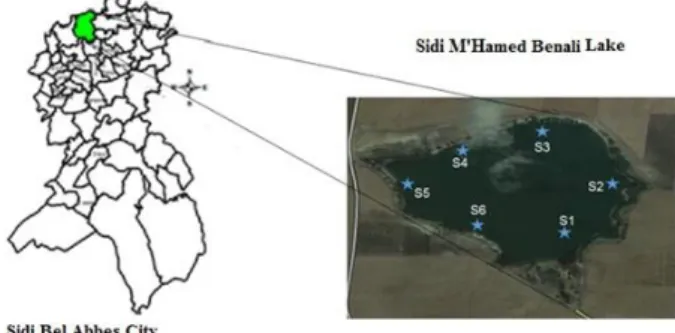 Figure 1: Sampling sites at the SMB Lake. 