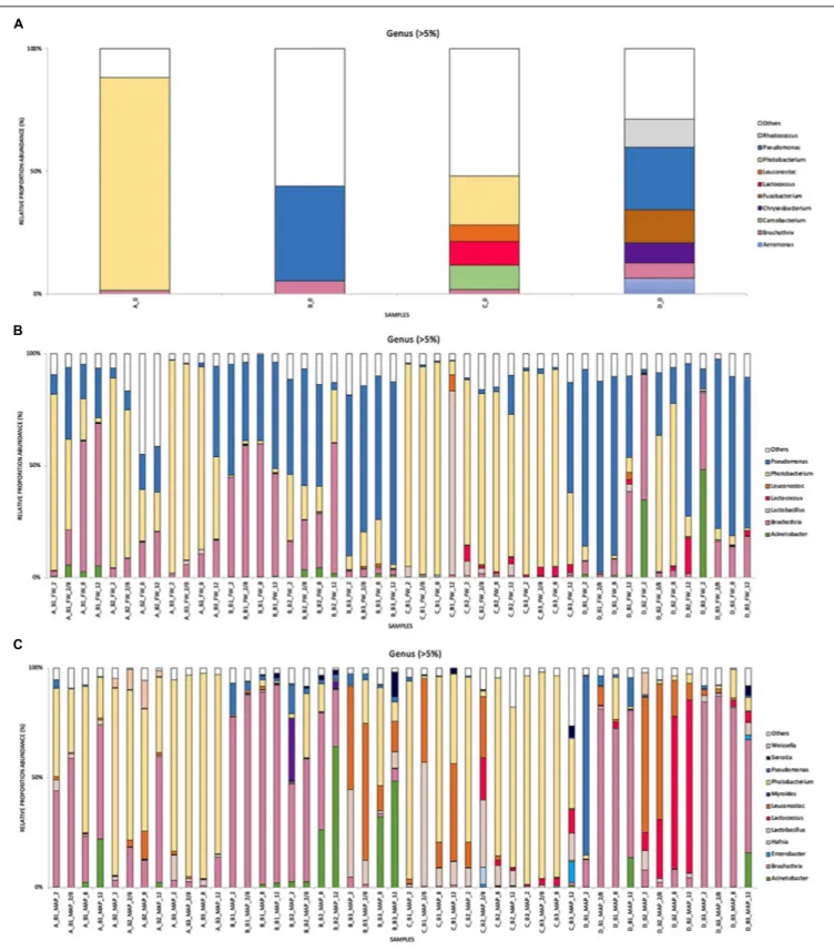 FIGURE 3 | Cumulated histograms of the relative abundance (%) of taxa and the dynamics of the bacterial community identified by metagenetics at Genus levels, during cold storage of minced pork meat in relation to the food packaging and the origin of sample