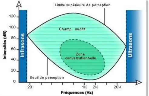 Figure 5 : schéma de la courbe audiométrique de l'oreille humaine (116) 