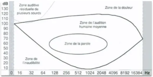 Figure 2 : Les différentes zones du champ auditif 