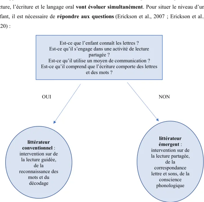 Figure 3 : Schéma traduit de Erickson et al., 2007 ; Erickson et al., 2020 