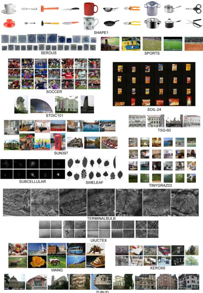 Fig. 4. An overview of several image classes used in our experimental setup. Images taken from publications or websites of the datasets from SEROUS to ZUBUD (see Table I for a summary of dataset characteristics).