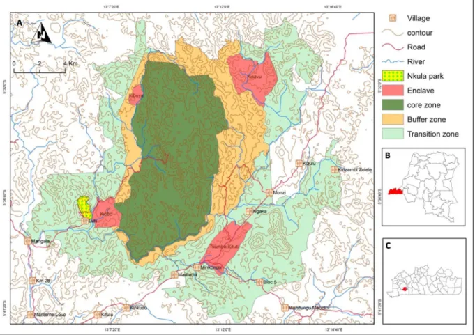 Fig. 2 gives an overview of all data, the relevant observation per- per-iods, and the numbers of trees and species analyzed by each approach.