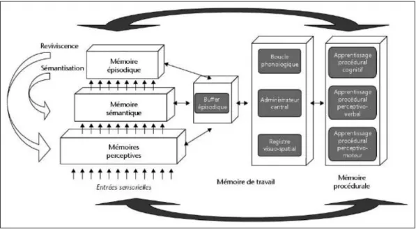 Figure 1. Modèles MNESIS (Eustache et al., 2016)