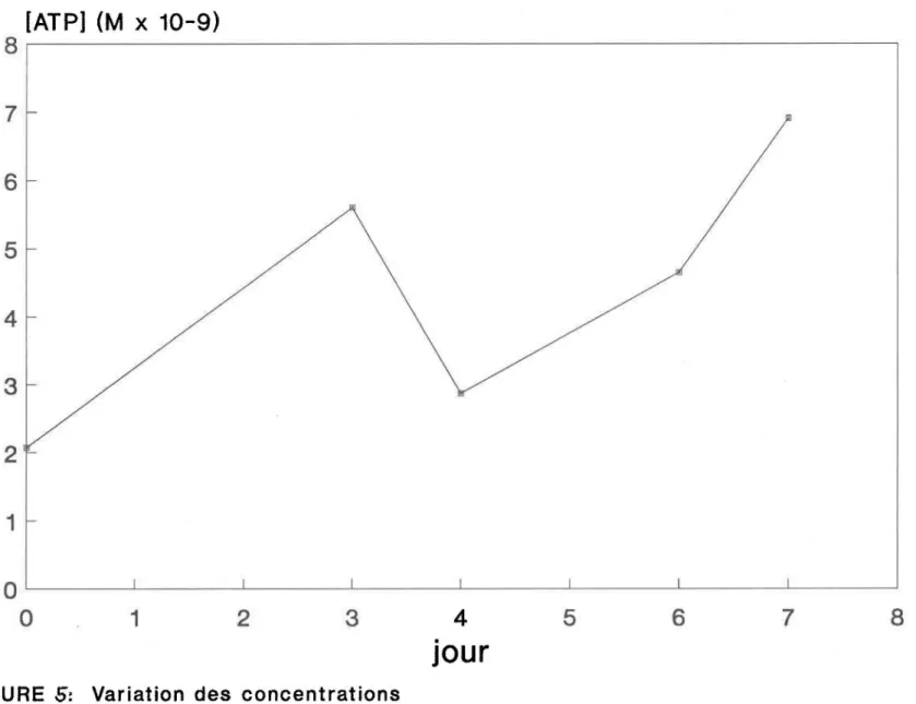 FIGURE  5:  Variation  des  concentrations  d'ATP  (Séries  A  et  B) 