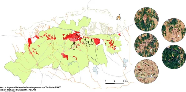 Figure 2. Map of the selected sites in Tolga oasis Complex. 