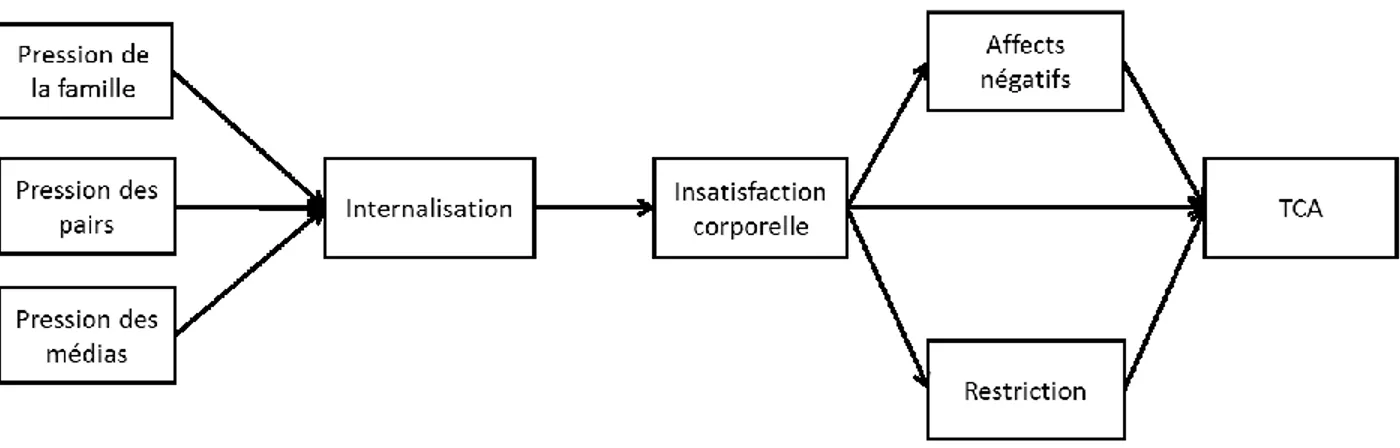Figure 3. Modèle socioculturel de Stice (2002). 
