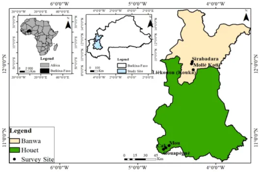 Figure 1. Location of the six observation sites of phytosanitary practices of tomato producers in the communes of Kouka and Toussiana (Burkina Faso).