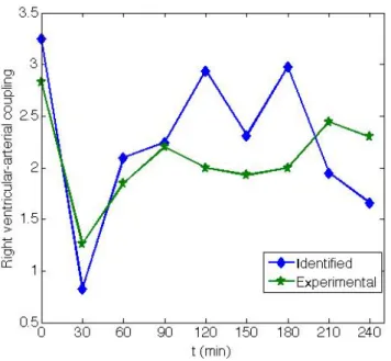 Figure 8 presents the RV-vascular coupling using  