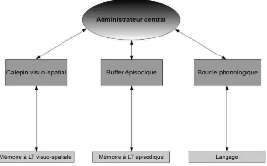 Figure 2 : Schéma du modèle de Baddeley, (2000). 
