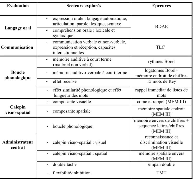 Figure 4 : Synthèse des épreuves du bilan. 