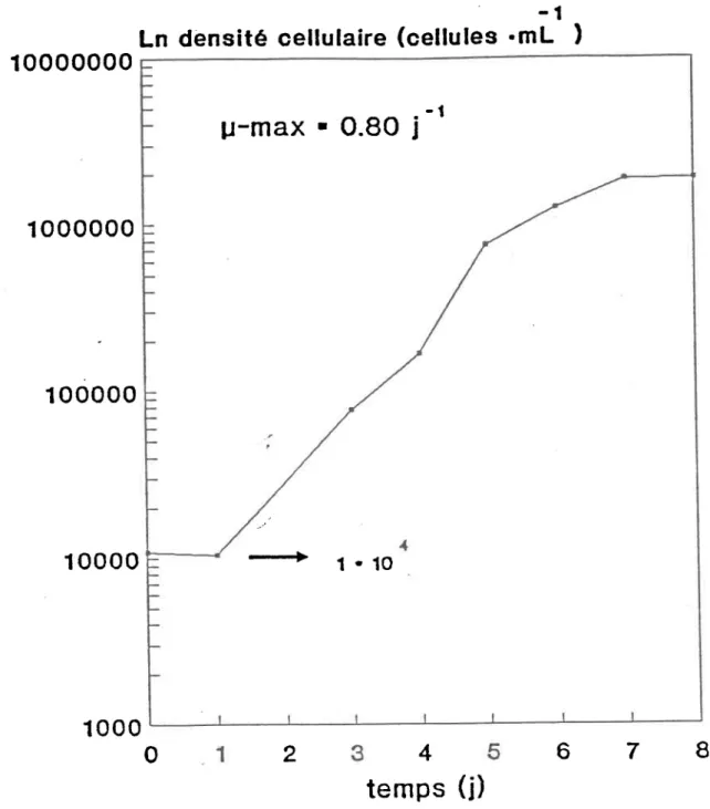 Figure  3.i-:  Courbe  de  croissance  typigue  de  Chlorel1a  pvrenoidosa d a n s   u n   m i l i e u   A À P ,   a é r é   e t   a g i t é -1  0 0 o o o1  0 0 0 0 7 I26o 1 1 3