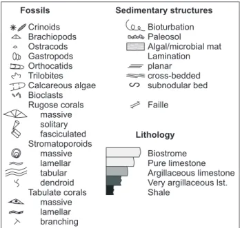 figure 4: Symbols used on logs and sedimentological models.