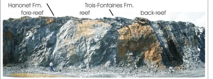 figure 11:  the basal reef of the Trois-Fontaines Formation in the Glageon quarry.