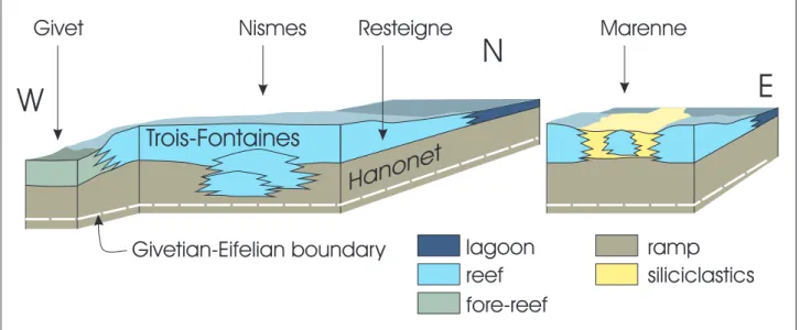 figure 15:  3-D reconstruction of lateral variations in the first reef barrier, from Givet to Marenne
