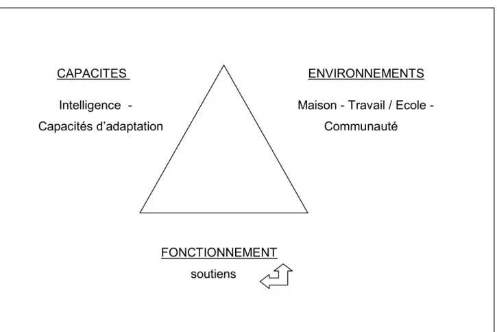 Figure 5 : Structure générale de la définition du « retard mental » selon l’AAMR, 2002