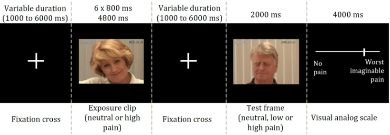 Figure 1. Schematic representation of the experimental task. Participant first saw a  fixation  cross  (variable  duration ;  jittered  1000  ms  to  6000  ms)  followed  by  the  exposure clip (800 ms) that was repeated 6 times, showing a neutral facial e
